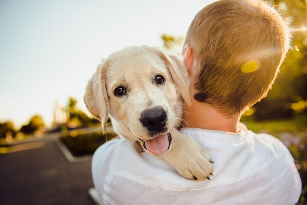 dog over mans shoulder